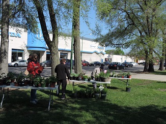 Plant Sale 2014